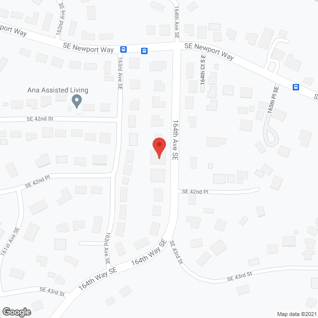 Ideal Adult Family Home,  LPN in google map