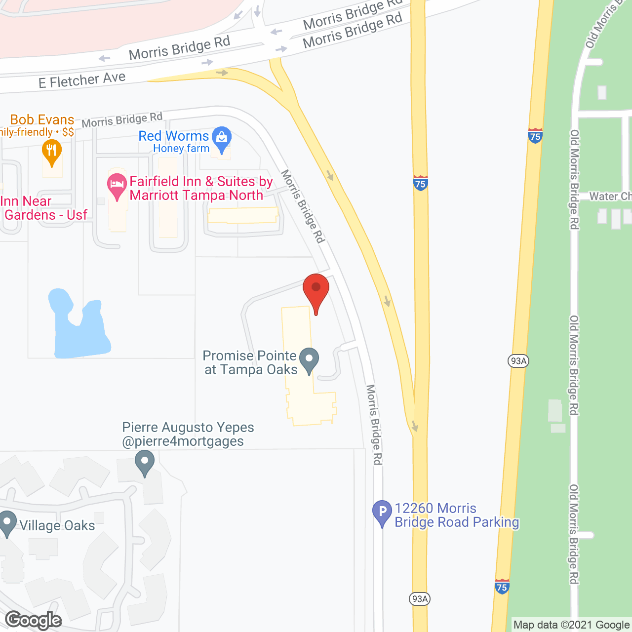 Promise Pointe at Tampa Oaks in google map